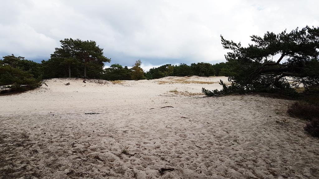 Apartment Na Wydmach. Spokoj. Cisza. Dookola Hel